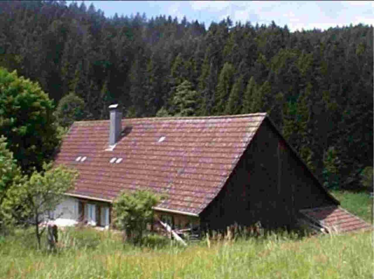 Ferienhaus Schwarzwald Seewald Erzgrube Badesee 100% Natur Exterior photo